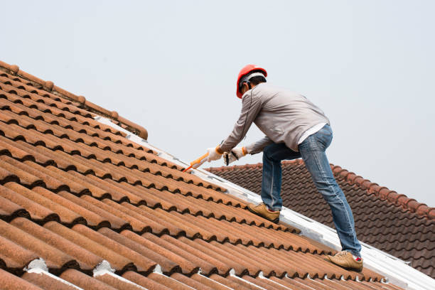 Best Gutter Replacement  in Winfield, TN